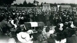 On a volé le maréchal