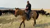 On les appelle cowboys