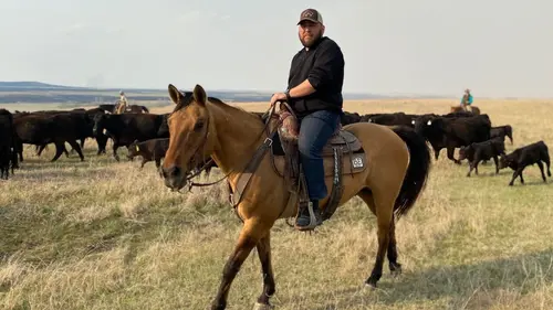 On les appelle cowboys