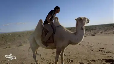 Bienvenue en Mongolie, le pays du ciel bleu