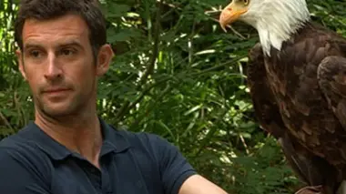 Pas bêtes les bêtes