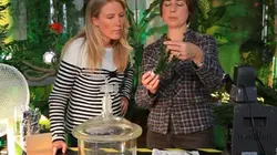 On n'est pas que des cobayes !