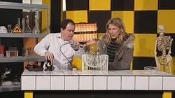 Visuel de On n'est pas que des cobayes !