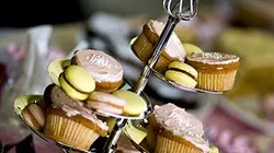 On n'est pas que des cobayes !