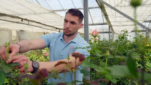 Casting On se pique pour la fleur française