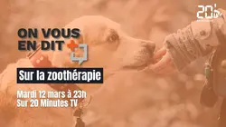 On vous en dit + La Zoothérapie : en finir avec son mal de chien !