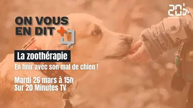 La Zoothérapie : en finir avec son mal de chien !