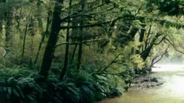 les nouveaux aventuriers de la nature