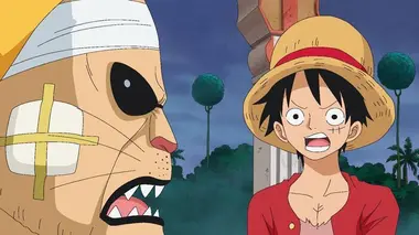 La décision de Luffy. Sanji risque de quitter l'équipage !