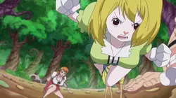 Visuel de One Piece