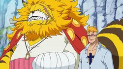 One Piece S20E890 Marco. Le gardien du souvenir !