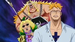 One Piece S20E890 Marco. Le gardien du souvenir !