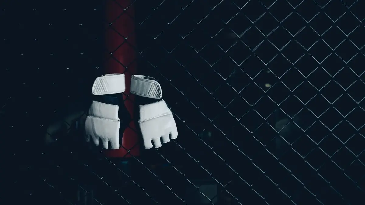 ONE Rétro 2025 Les meilleurs combats (3e partie)