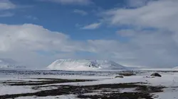 One Strange Rock La genèse