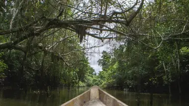 Onibo : Pérou, de la jungle urbaine à la jungle amazonienne (2018)