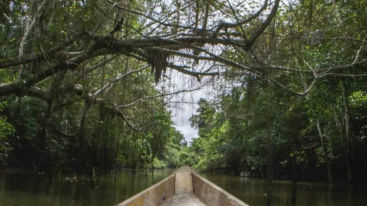 Onibo : Pérou, de la jungle urbaine à la jungle amazonienne