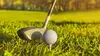 Open de Memphis Golf Circuit américain 2025
