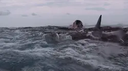 Open Water 3 : Les abîmes de la terreur