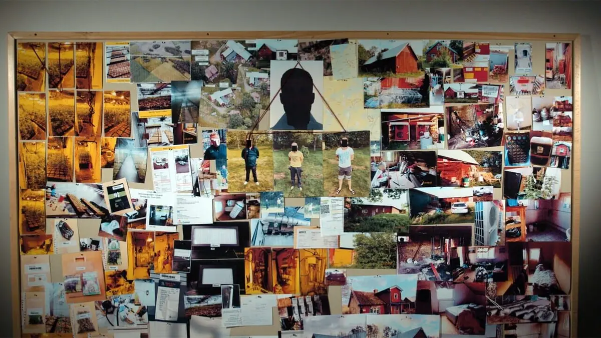 Opération Cannabis L'assaut