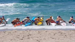 Originaire du Pays basque Episode 2 : Comment Natxo a acquis ses célèbres rayures noires