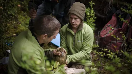 Héroïnes de nature