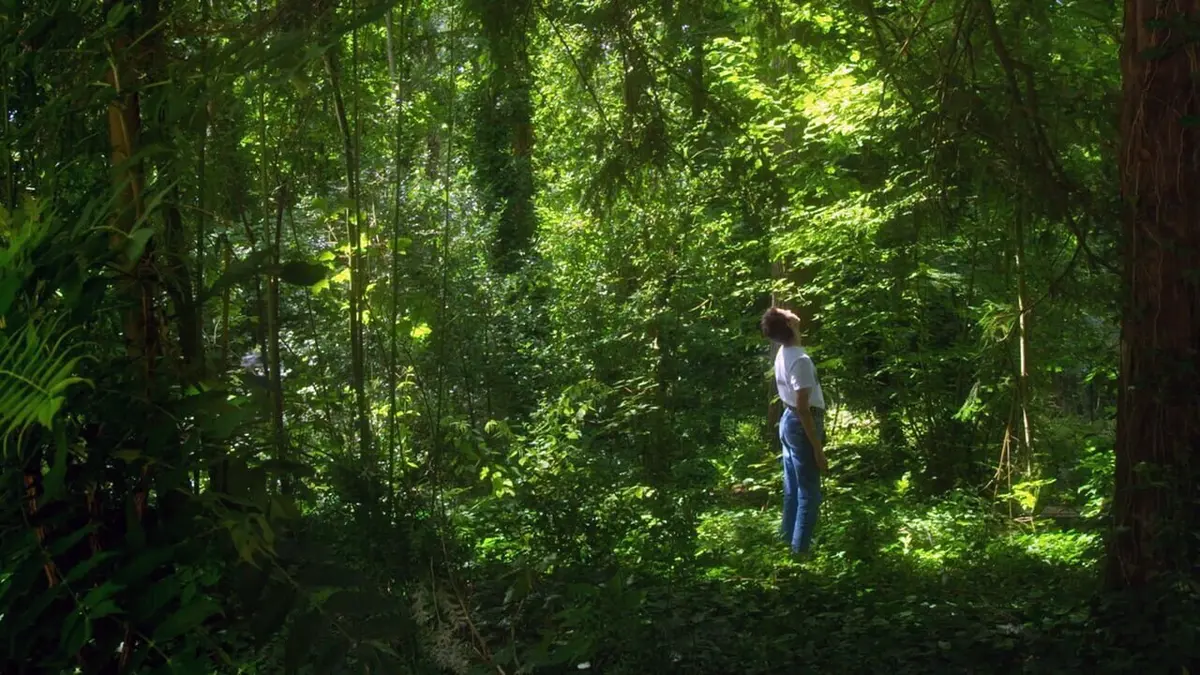 Orlando, ma biographie politique