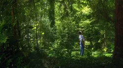 Orlando, ma biographie politique