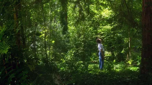 Orlando, ma biographie politique