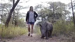 Visuel de Orphelinat pour rhinos