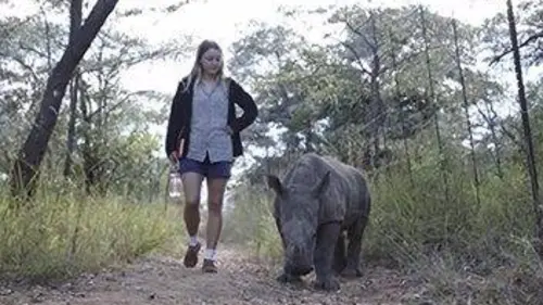 Casting Orphelinat pour rhinos De nouveaux pensionnaires