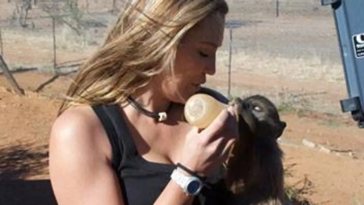 Orphelins de la nature S01E02 Bébés babouins