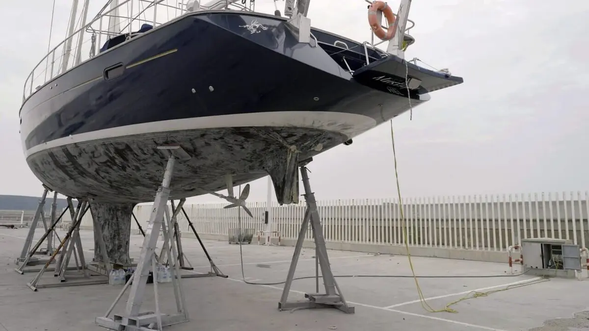 Orques de Gibraltar : D'étranges attaques