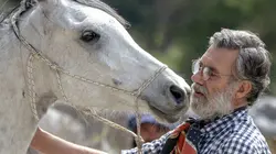 Oscar ou l'art d'apprivoiser les chevaux