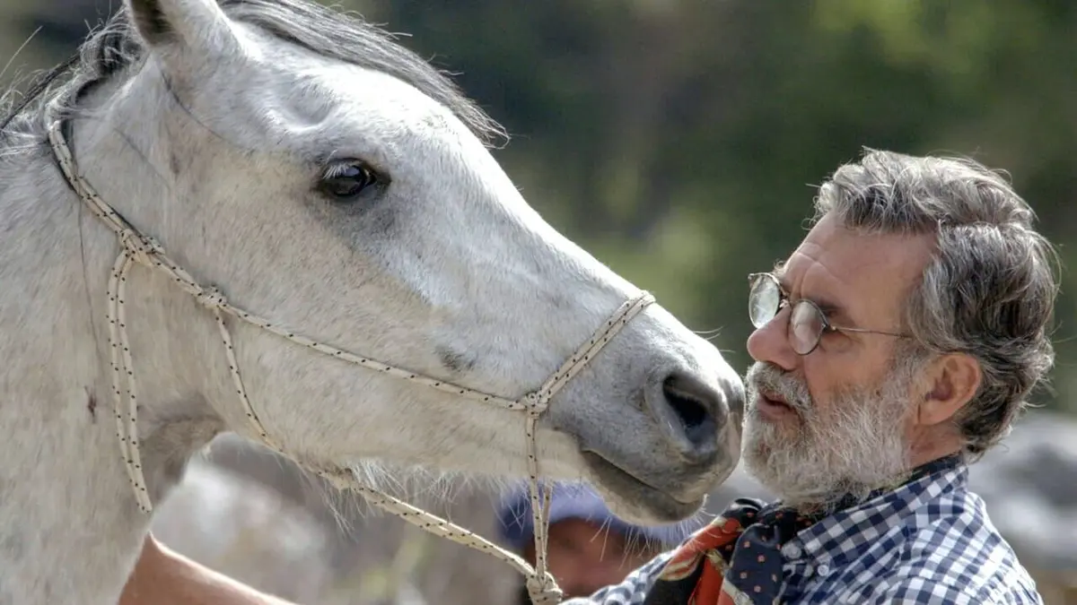 Oscar ou l'art d'apprivoiser les chevaux