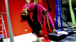 Oser son rêve, Zip Zap Circus