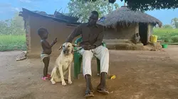 Ouganda, les chiens de l'espoir