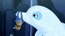 Sur TIJI à 18h45 : Oum le dauphin blanc