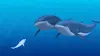 Oum le dauphin blanc S01E47 Le chant des baleines