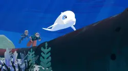 Sur TIJI à 19h20 : Oum le dauphin blanc