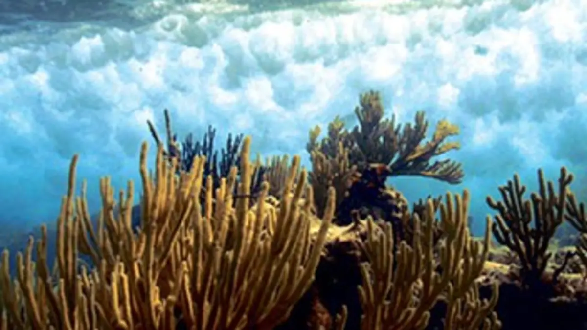 Ouragan E02 La nature sous influence