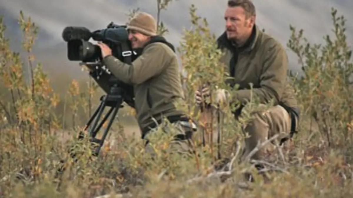 Ours d'Alaska E02 Destination Grand Nord