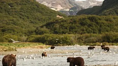 Les seigneurs de l'Arctique