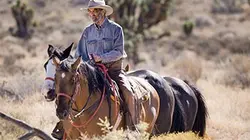 Out of the Wild en streaming