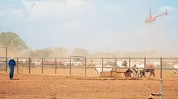 Visuel de Outback Air Pilots