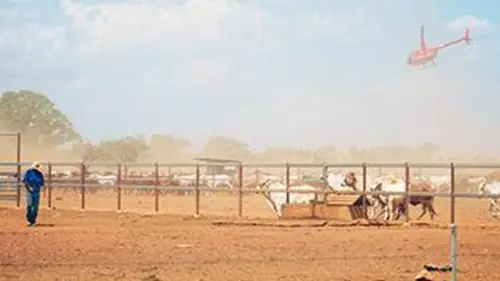 Outback Air Pilots S01E02 Episode 2