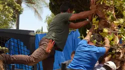 Outback Nation : sauvez mon jardin !