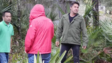 Outback Nation : sauvez mon jardin !