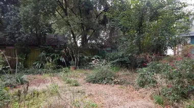 Outback Nation : sauvez mon jardin !