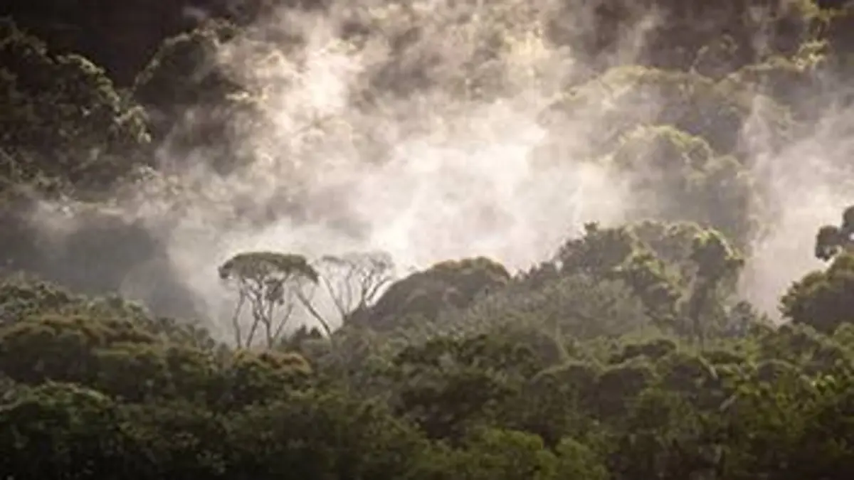 Outre-mer, les sentinelles du climat