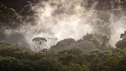 Outre-mer, les sentinelles du climat